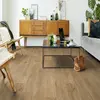 Βινυλικό Δάπεδο Tarkett Iconik 240 Legacy Oak LIGHT NATURAL