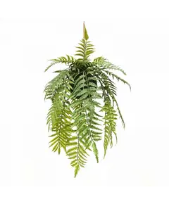 Supergreens Τεχνητή Κρεμαστή Ρίζα Φτέρη "Dryopteris" Πράσινη 76 εκ.