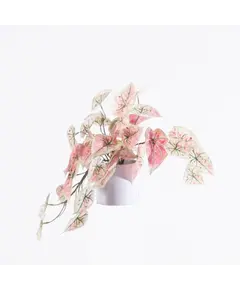 Supergreens Τεχνητό Φυτό Ντιφενμπάχια Ροζ 41 εκ.