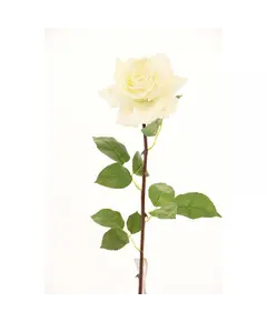 Supergreens Τεχνητό Κλωνάρι Τριαντάφυλλο Λευκό 75 εκ.