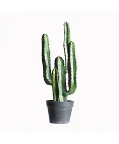 Supergreens Τεχνητό Φυτό Κάκτος 60 εκ.