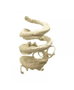 Supergreens Τεχνητό Κρεμαστό Κλαδί Άσπρο 135 εκ.