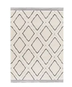 Μοντέρνο χαλί Fara 65235 669 -  Royal Carpet