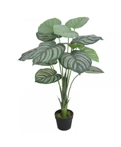 Supergreens Τεχνητό Φυτό Καλαθέα Setosa 85 εκ.