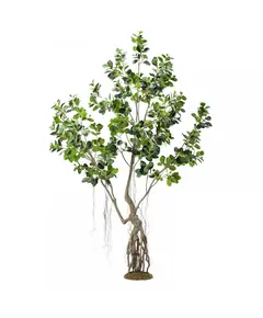 Supergreens Τεχνητό Δέντρο Φίκος Ginseng Πράσινο 250 εκ.