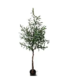 OLIVE TREE NP4817_160_22   ΥΨΟΣ 160cm NewPlan