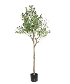 OLIVE TREE NP1384_150  ΥΨΟΣ 150cm NewPlan