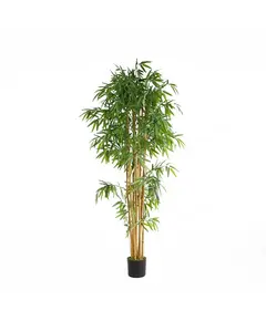 BAMBOO  NP0076_210 ΥΨΟΣ 210cm NewPlan