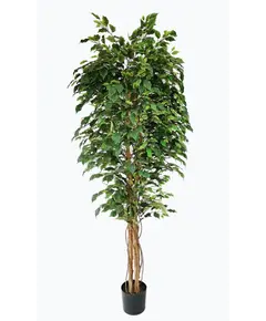 FICUS TREE NP230_210_UV  ΥΨΟΣ 210cm NewPlan