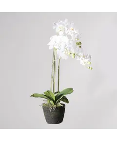Supergreens Τεχνητό Φυτό Ορχιδέα Phalaenopsis Real Touch Λευκή με Βάση Moss 110 εκ.