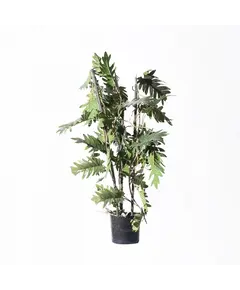 Supergreens Τεχνητό Φυτό Φιλόδεντρο Xanadu 75 εκ.