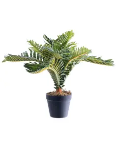 Supergreens Τεχνητό Φυτό Αρέκα Caliso Πράσινο 50 εκ.