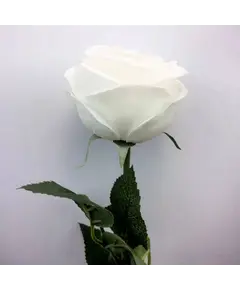 Supergreens Τεχνητό Κλωνάρι Τριαντάφυλλο "Garden" Λευκό 57 εκ.