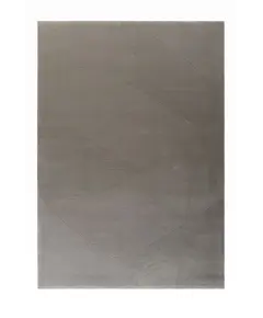 Μονόχρωμο χαλί SIGNATURE 75098-495