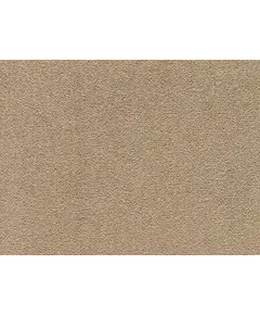 Επαγγελματική ΜΟΚΕΤΑ Congress 38 Μπεζ