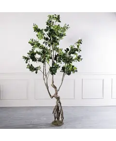 Supergreens Τεχνητό Δέντρο Φίκος Ginseng Πράσινο 250 εκ.