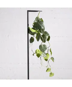 Supergreens Τεχνητή Γιρλάντα Πόθος Emerald 120 εκ.