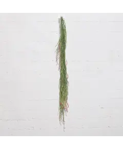 Supergreens Τεχνητή Γιρλάντα Χορτάρι Πράσινη 120 εκ.