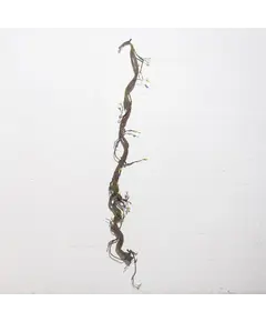 Supergreens Τεχνητή Γιρλάντα Αποξηραμένο Κλαδί Καφέ 200 εκ.