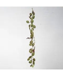 Supergreens Τεχνητή Γιρλάντα Καλαθέα "Zebrina" Πράσινη 170 εκ.