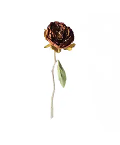 Supergreens Τεχνητό Κλωνάρι Παιώνια Μπεζ 34 εκ.