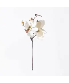 Supergreens Τεχνητό Κλωνάρι Μανόλια Λευκό 50 εκ.