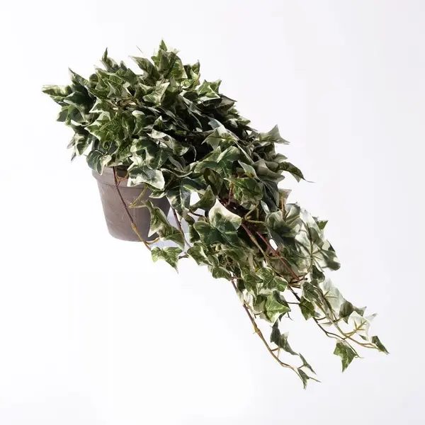 Supergreens Τεχνητό Φυτό Κισσός Πανασέ 45 εκ.