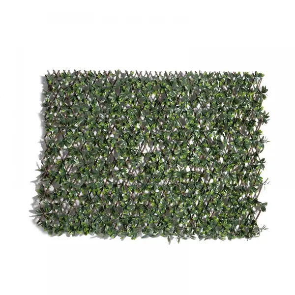 Supergreens Τεχνητή Πτυσσόμενη Φυλλωσιά Δράκαινα Fragrans 100x200 εκ.