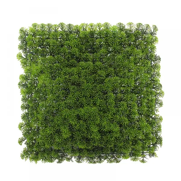 Supergreens Τεχνητή Φυλλωσιά Moss Hyloconium 50x50 εκ.