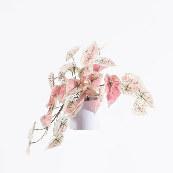 Supergreens Τεχνητό Φυτό Ντιφενμπάχια Ροζ 41 εκ.