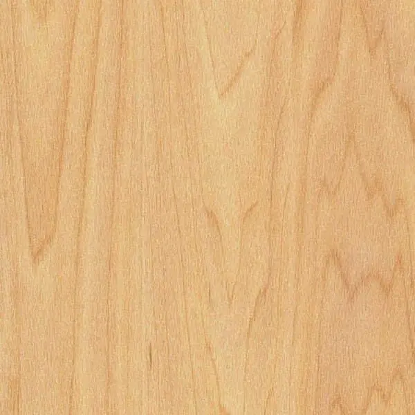 Αθλητικό Δάπεδο Gerflor Taraflex Sport M Dry-Tex 6381 Oak 9mm