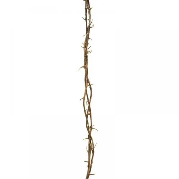 Supergreens Τεχνητή Γιρλάντα Κορμός Καφέ106 εκ.