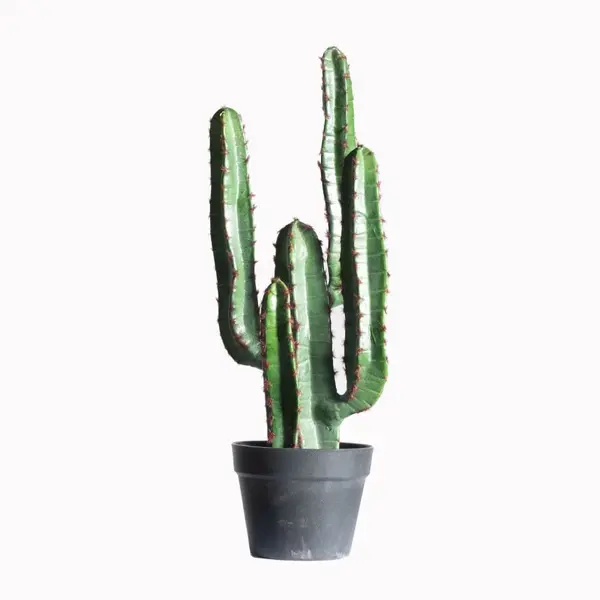 Supergreens Τεχνητό Φυτό Κάκτος 60 εκ.