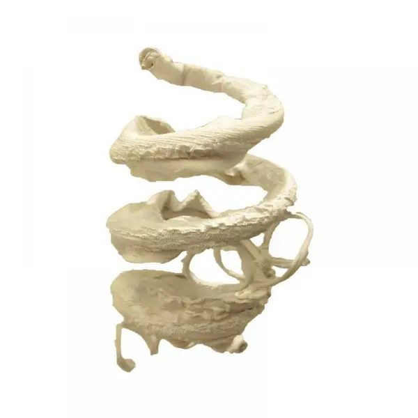 Supergreens Τεχνητό Κρεμαστό Κλαδί Άσπρο 135 εκ.