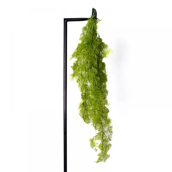 Supergreens Τεχνητό Κρεμαστό Σπαρράγγι Πράσινο Ανοιχτό 90 εκ.