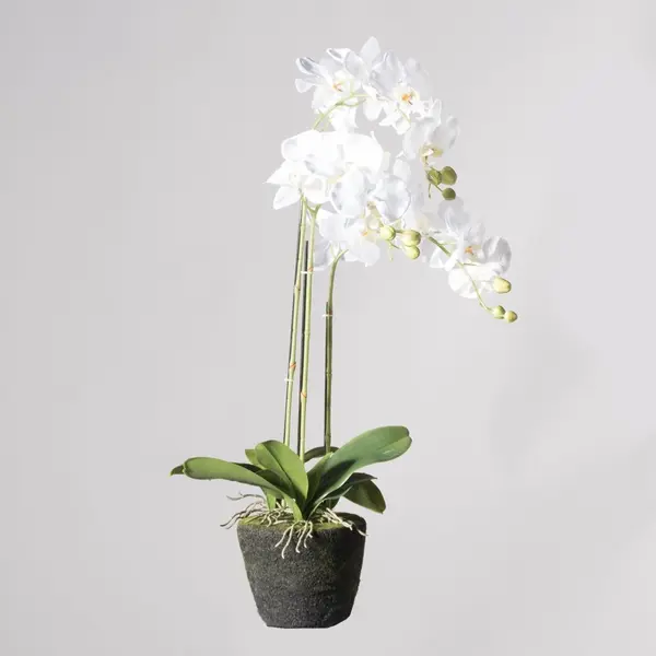Supergreens Τεχνητό Φυτό Ορχιδέα Phalaenopsis Real Touch Λευκή με Βάση Moss 110 εκ.
