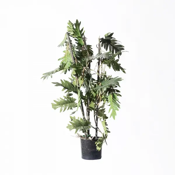 Supergreens Τεχνητό Φυτό Φιλόδεντρο Xanadu 75 εκ.