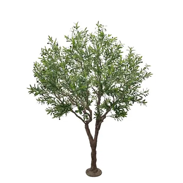 OLIVE TREE NP496_240_UV ΥΨΟΣ 240cm NewPlan