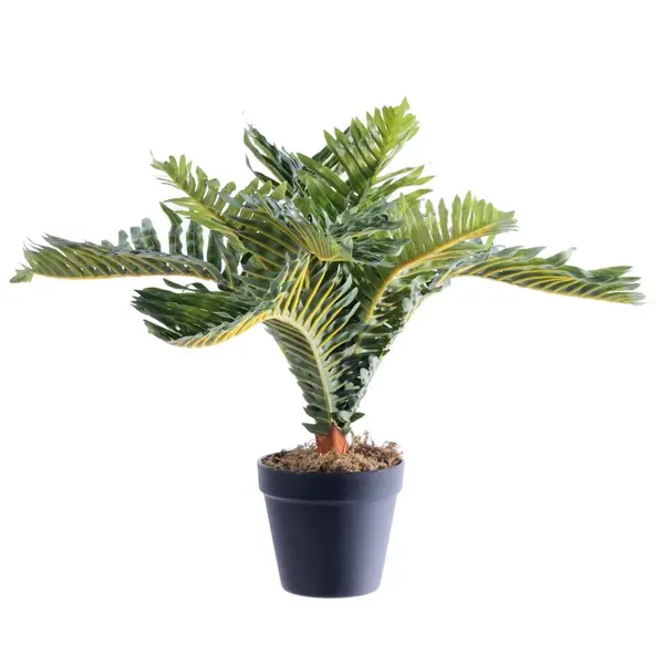 Supergreens Τεχνητό Φυτό Αρέκα Caliso Πράσινο 50 εκ.