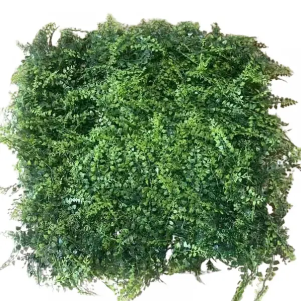 Supergreens Τεχνητή Φυλλωσιά Φτέρη Πράσινη 50x50 εκ.