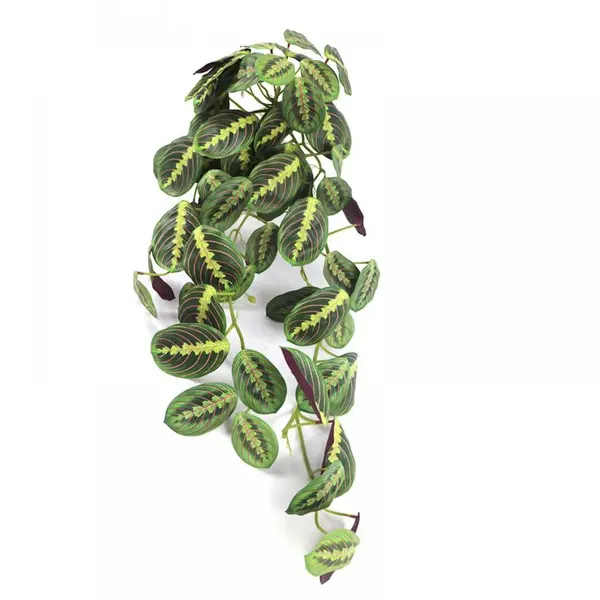 Supergreens Τεχνητή Κρεμαστή Καλαθέα "Maranta" Πράσινη 85 εκ.