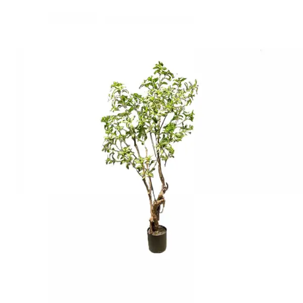 Supergreens Τεχνητο Δέντρο Φίκος "Japonica" Πράσινο 175 εκ.