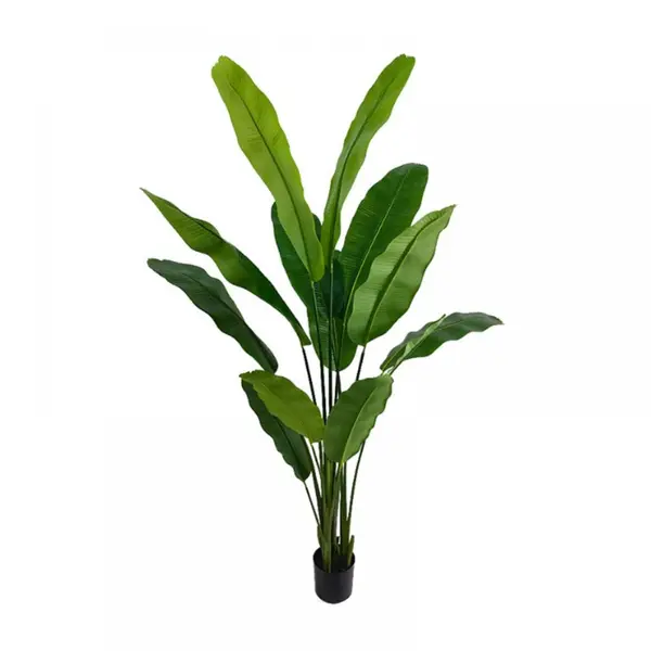 Supergreens Τεχνητο Δέντρο Πουλί του Παραδείσου "Strelitzia Nicolais" Πράσινο 210 εκ.