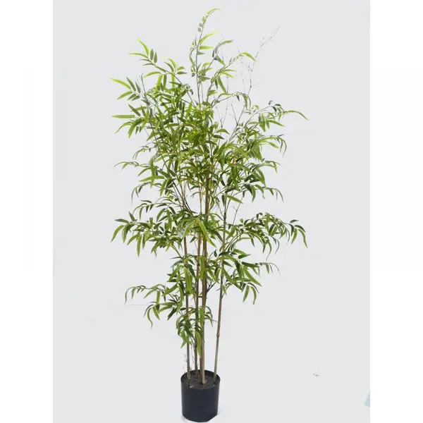 Supergreens Τεχνητό Δέντρο Φίκος "Ginseng" Πράσινο 180 εκ.