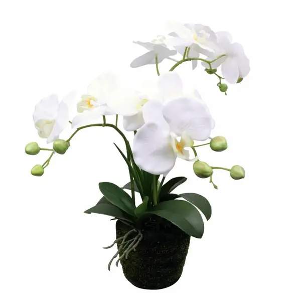 Supergreens Τεχνητό Φυτό Ορχιδέα Phalaenopsis Λευκό 42 εκ.