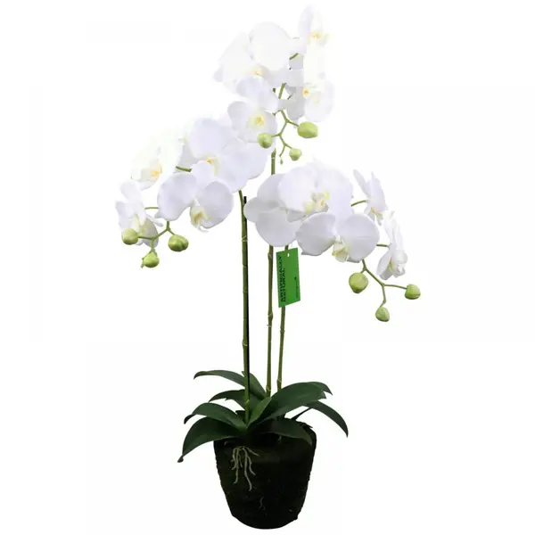Supergreens Τεχνητό Φυτό Ορχιδέα Phalaenopsis Λευκό 80 εκ.