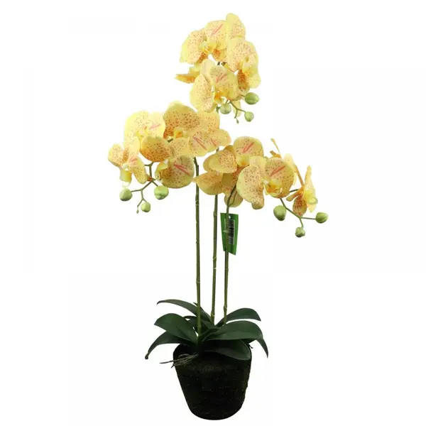 Supergreens Τεχνητό Φυτό Ορχιδέα Phalaenopsis Κίτρινο 80 εκ.