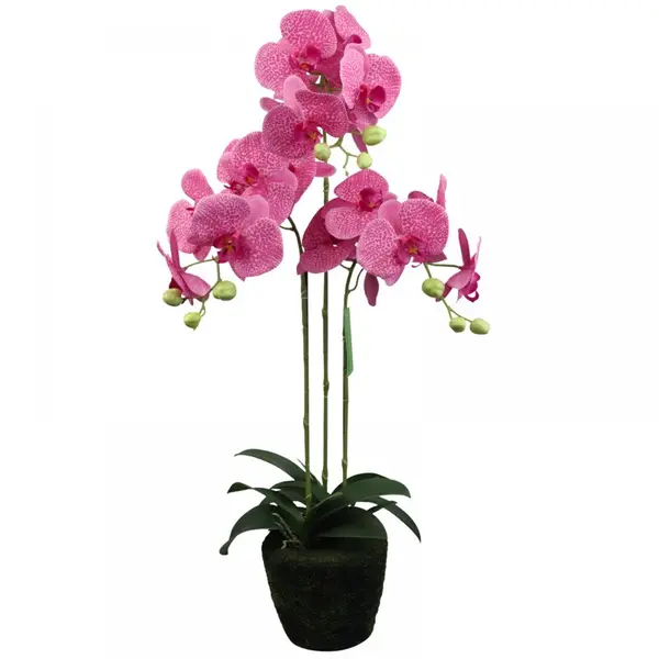 Supergreens Τεχνητό Φυτό Ορχιδέα Phalaenopsis Ροζ 80 εκ.
