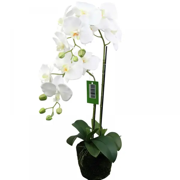 Supergreens Τεχνητό Φυτό Ορχιδέα Phalaenopsis Λευκό 110 εκ.