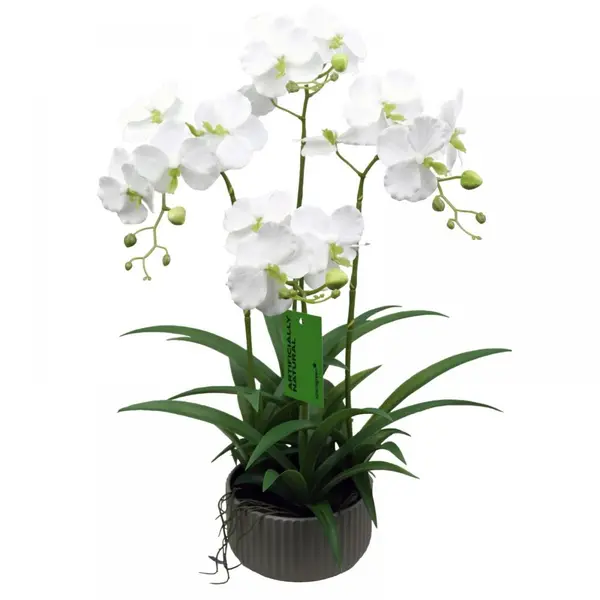 Supergreens Τεχνητό Φυτό Ορχιδέα Phalaenopsis Λευκό 60 εκ.